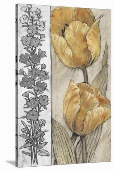 Ochre & Grey Tulips IV-Tim O'toole-Stretched Canvas