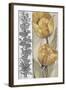 Ochre & Grey Tulips IV-Tim O'toole-Framed Art Print