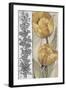 Ochre & Grey Tulips IV-Tim O'toole-Framed Art Print