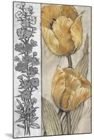 Ochre & Grey Tulips IV-Tim O'toole-Mounted Art Print