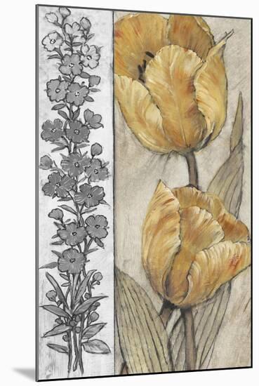 Ochre & Grey Tulips IV-Tim O'toole-Mounted Art Print