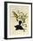 Ochre-Headed Flycatcher (Myiagra Cervinicauda)-null-Framed Giclee Print