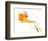 Ochre Opening-Sheila Golden-Framed Art Print