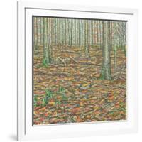 Ochre's Groundscape-Noel Paine-Framed Giclee Print