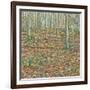 Ochre's Groundscape-Noel Paine-Framed Giclee Print