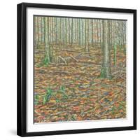 Ochre's Groundscape-Noel Paine-Framed Giclee Print