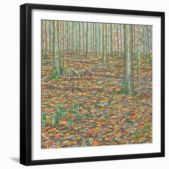 Ochre's Groundscape-Noel Paine-Framed Giclee Print