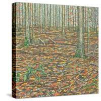 Ochre's Groundscape-Noel Paine-Stretched Canvas