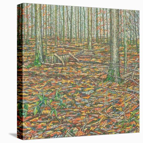 Ochre's Groundscape-Noel Paine-Stretched Canvas