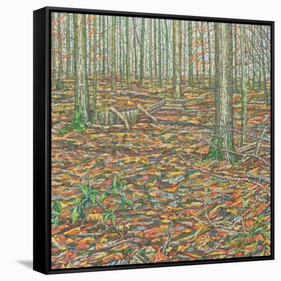Ochre's Groundscape-Noel Paine-Framed Stretched Canvas