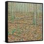 Ochre's Groundscape-Noel Paine-Framed Stretched Canvas