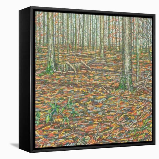 Ochre's Groundscape-Noel Paine-Framed Stretched Canvas