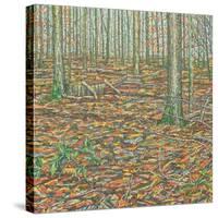 Ochre's Groundscape-Noel Paine-Stretched Canvas