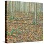 Ochre's Groundscape-Noel Paine-Stretched Canvas