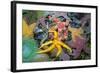 Ochre Sea Star with Giant Green Anemone-null-Framed Photographic Print