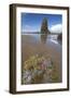 Ochre Sea Stars Exposed at High Tide with Sea Stack-null-Framed Photographic Print