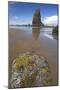 Ochre Sea Stars Exposed at High Tide with Sea Stack-null-Mounted Photographic Print