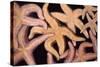 Ochre Star Fish-null-Stretched Canvas