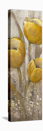 Ochre Tulips II-Tim O'toole-Stretched Canvas