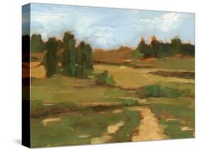 Ochre Valley I-Ethan Harper-Stretched Canvas