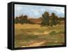 Ochre Valley II-Ethan Harper-Framed Stretched Canvas