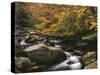 Oconaluftee River, Great Smoky Mountains National Park, North Carolina, USA-Adam Jones-Stretched Canvas