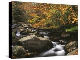 Oconaluftee River, Great Smoky Mountains National Park, North Carolina, USA-Adam Jones-Stretched Canvas