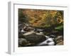 Oconaluftee River, Great Smoky Mountains National Park, North Carolina, USA-Adam Jones-Framed Photographic Print