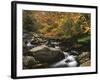 Oconaluftee River, Great Smoky Mountains National Park, North Carolina, USA-Adam Jones-Framed Photographic Print