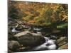 Oconaluftee River, Great Smoky Mountains National Park, North Carolina, USA-Adam Jones-Mounted Photographic Print