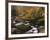 Oconaluftee River, Great Smoky Mountains National Park, North Carolina, USA-Adam Jones-Framed Photographic Print