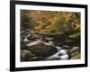 Oconaluftee River, Great Smoky Mountains National Park, North Carolina, USA-Adam Jones-Framed Photographic Print