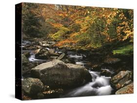 Oconaluftee River, Great Smoky Mountains National Park, North Carolina, USA-Adam Jones-Stretched Canvas