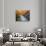 Oconoluftee River-Herb Dickinson-Photographic Print displayed on a wall