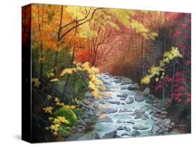 Oconoluftee River-Herb Dickinson-Stretched Canvas