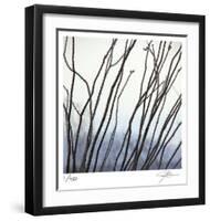 Ocotillo 6-Ken Bremer-Framed Limited Edition