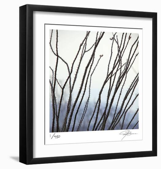 Ocotillo 6-Ken Bremer-Framed Limited Edition