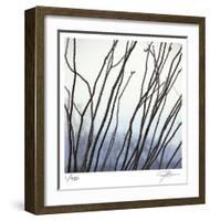 Ocotillo 6-Ken Bremer-Framed Limited Edition