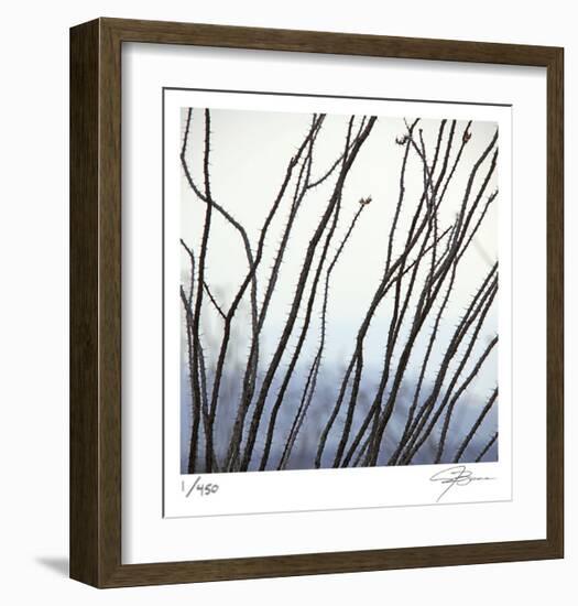 Ocotillo 6-Ken Bremer-Framed Limited Edition