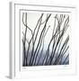 Ocotillo 6-Ken Bremer-Framed Limited Edition