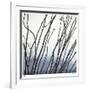 Ocotillo 6-Ken Bremer-Framed Limited Edition