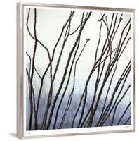 Ocotillo 6-Ken Bremer-Framed Limited Edition