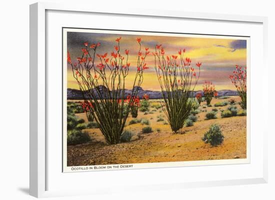 Ocotillo Blooming in Desert-null-Framed Art Print