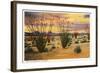 Ocotillo Blooming in Desert-null-Framed Art Print