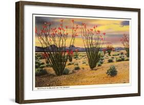 Ocotillo Blooming in Desert-null-Framed Art Print