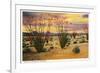 Ocotillo Blooming in Desert-null-Framed Premium Giclee Print