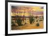 Ocotillo Blooming in Desert-null-Framed Premium Giclee Print