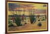 Ocotillo Flowers in Bloom, California Desert - California State-Lantern Press-Framed Art Print