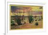 Ocotillo Flowers in Bloom, California Desert - California State-Lantern Press-Framed Premium Giclee Print