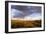 Ocotillo in Bloom at Sunrise in Big Bend National Park, Texas, Usa-Chuck Haney-Framed Photographic Print